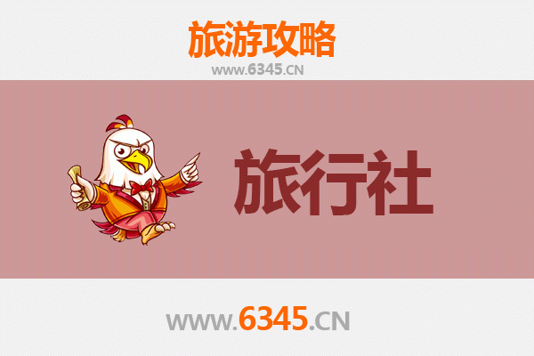 中山港口镇旅行社全攻略：本地人推荐的优质选择与行程指南