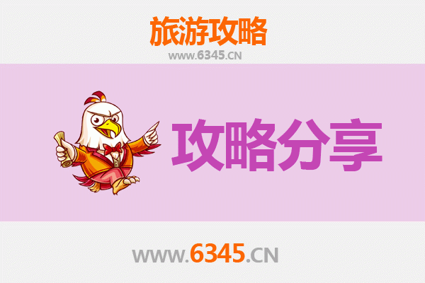 中山港口镇旅游攻略：跟团与自由行全方位解析