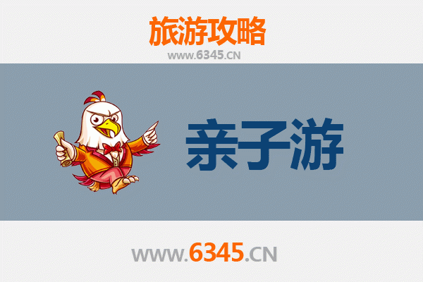 中山港口镇亲子游全攻略：探索岭南水乡，乐享家庭时光