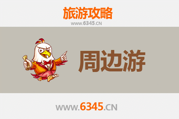 中山港口镇周边游全攻略：探索岭南水乡与美食文化